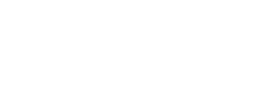 Laois Sports Partnership - Logo white